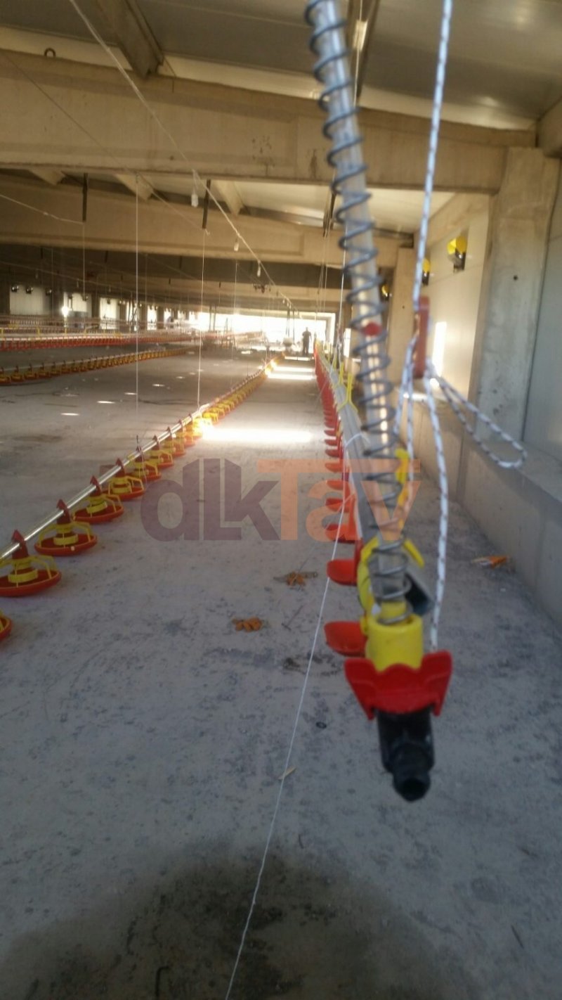 3mm Suluk Kaytan İpi