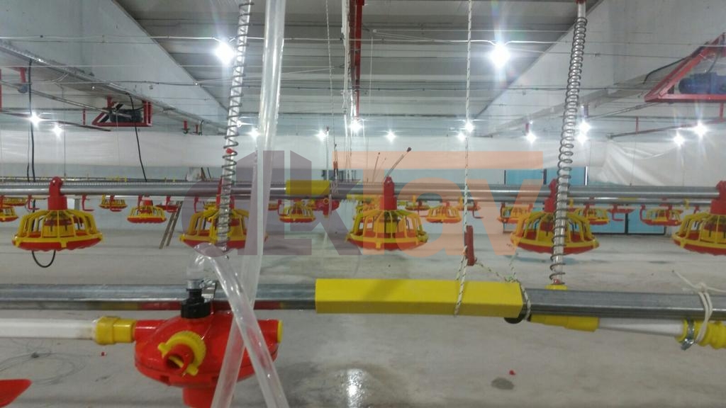 3mm Suluk Kaytan İpi